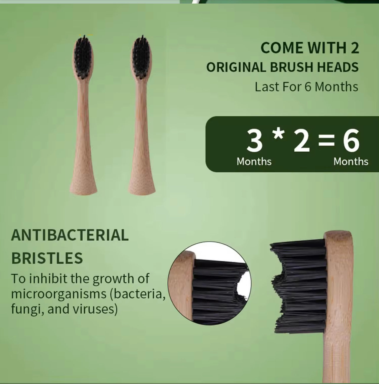 Bamboo Electric Toothbrush