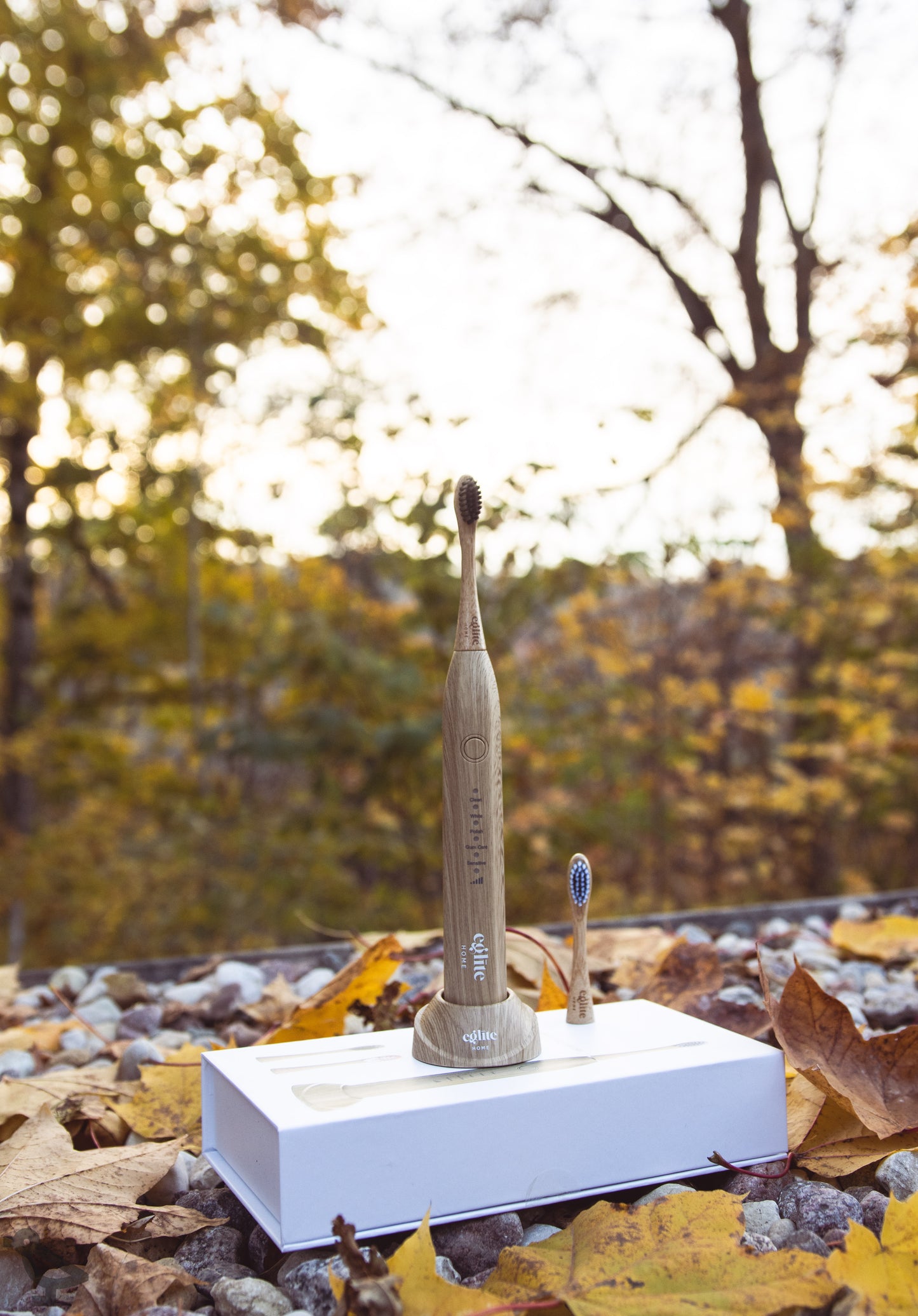 Bamboo Electric Toothbrush