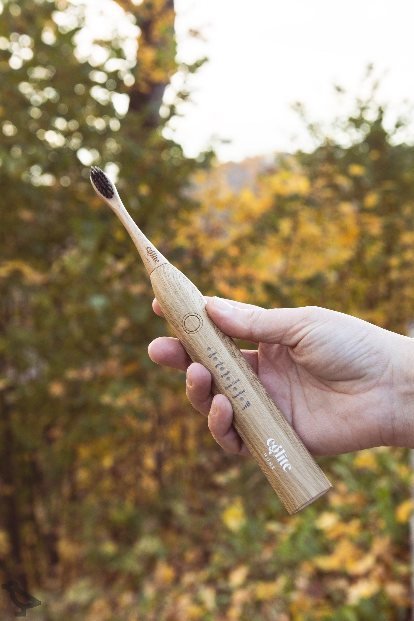 Bamboo Electric Toothbrush